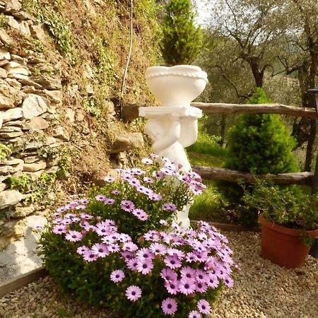 Casa Vacanze Sole Borghetto d'Arroscia Exteriör bild