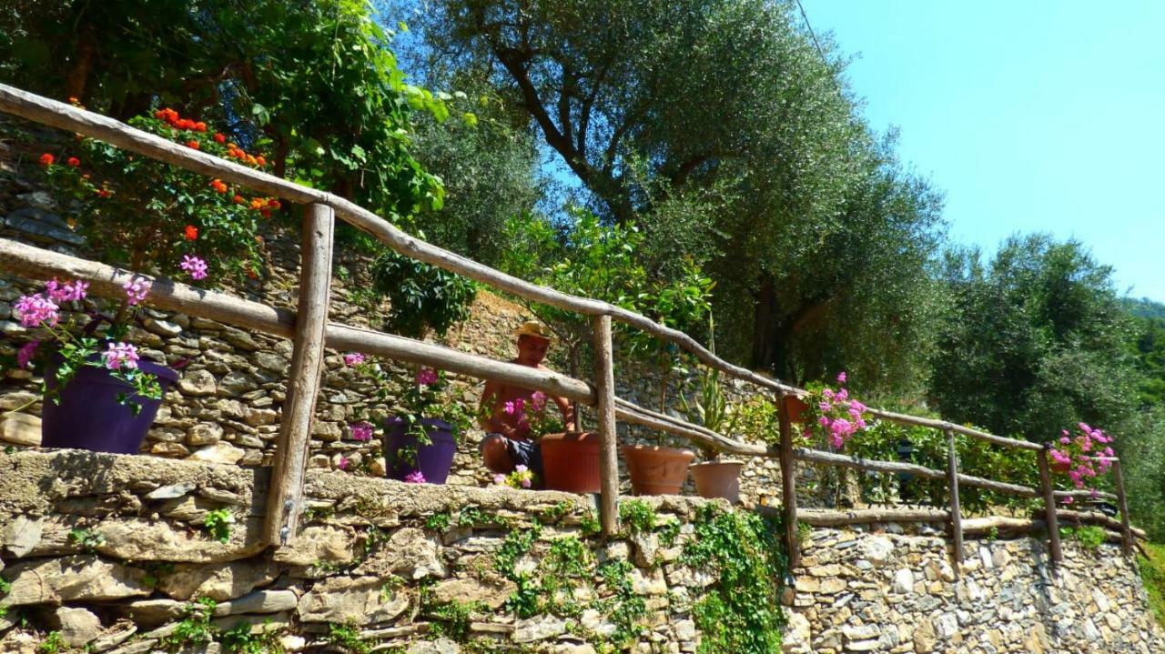 Casa Vacanze Sole Borghetto d'Arroscia Exteriör bild