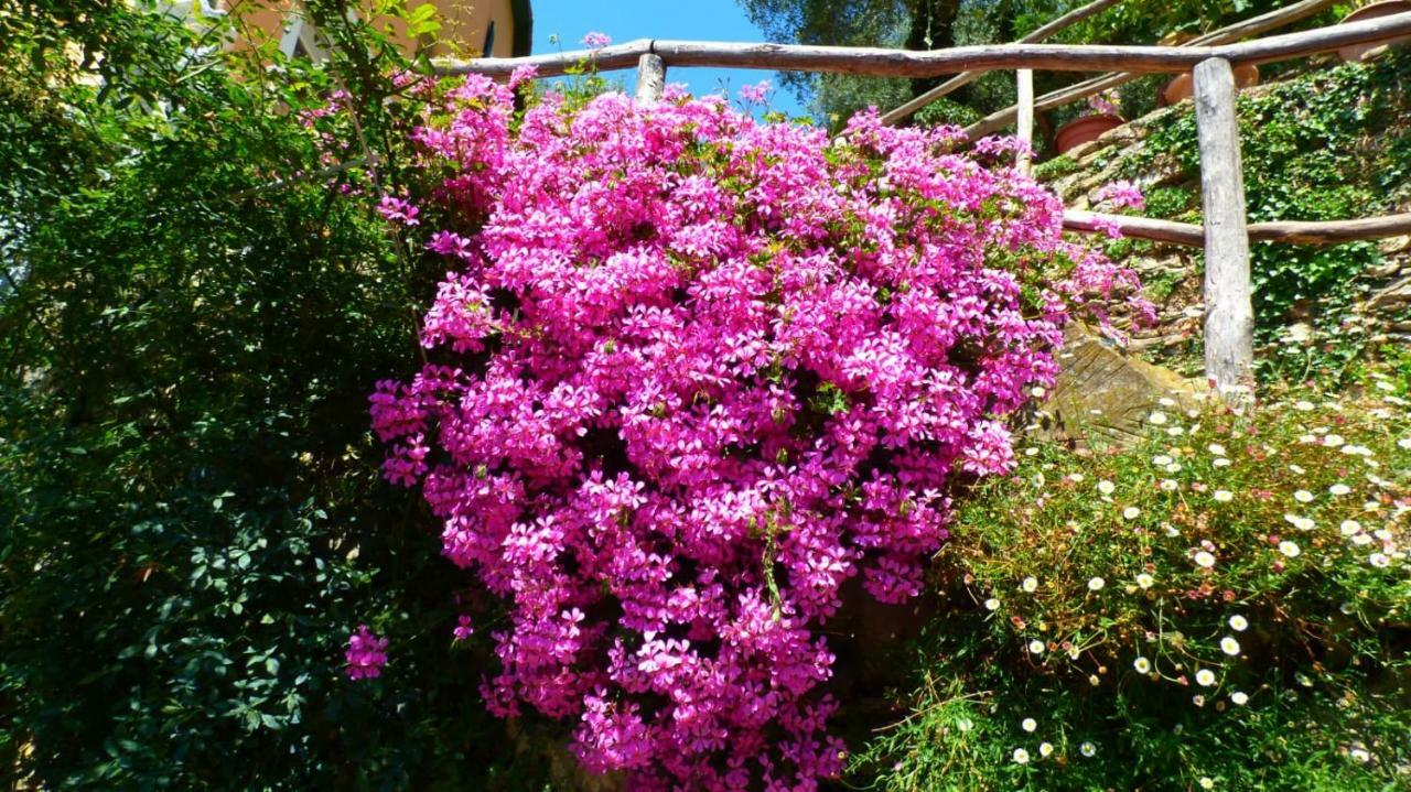 Casa Vacanze Sole Borghetto d'Arroscia Exteriör bild